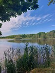 IMG-20220515-WA0026