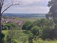 IMG-20220515-WA0029