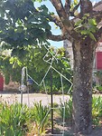 IMG-20220517-WA0041