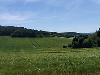 IMG-20220521-WA0025