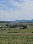 IMG-20220528-WA0021