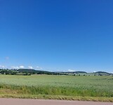 IMG-20220529-WA0017