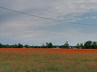 IMG-20220604-WA0009