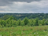 IMG-20220606-WA0039