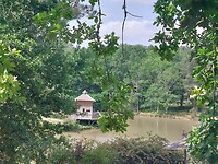 IMG-20220619-WA0083