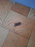 IMG-20220619-WA0075