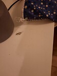 IMG-20220619-WA0074