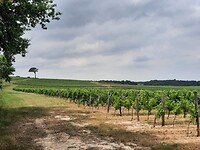 IMG-20220621-WA0041