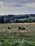 IMG-20220622-WA0037