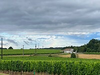 IMG-20220623-WA0003