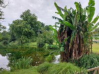 IMG-20220628-WA0007
