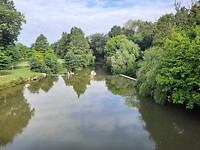 IMG-20220629-WA0014