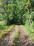 IMG-20220629-WA0031