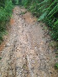 IMG-20220630-WA0016