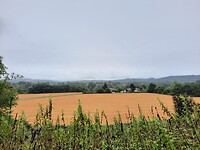 IMG-20220630-WA0026