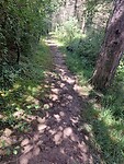 IMG-20220701-WA0028