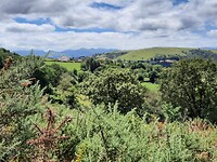 IMG-20220701-WA0059