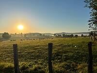IMG-20220702-WA0230