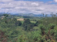 IMG-20220701-WA0026