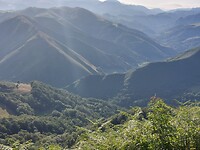 IMG-20220703-WA0071