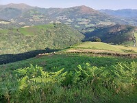IMG-20220703-WA0073