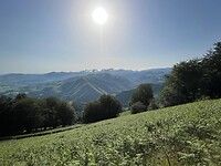 IMG-20220703-WA0121