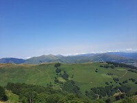 IMG-20220703-WA0134