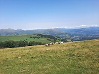 IMG-20220703-WA0137