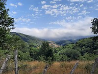 IMG-20220704-WA0018