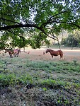 IMG-20220705-WA0015
