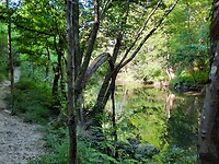 IMG-20220705-WA0020