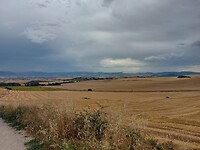 IMG-20220706-WA0015
