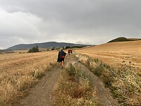 IMG-20220706-WA0043
