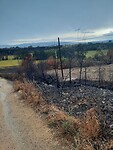 IMG-20220706-WA0063