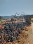 IMG-20220706-WA0064