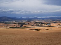 IMG-20220706-WA0077