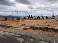 IMG-20220706-WA0073