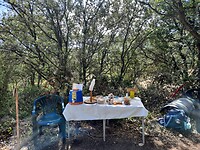 IMG-20220707-WA0024