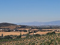 IMG-20220708-WA0035