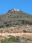 IMG-20220708-WA0036