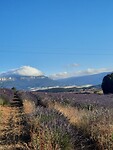 IMG-20220708-WA0037