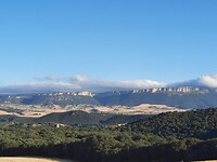IMG-20220708-WA0041