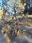 IMG-20220709-WA0030