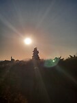 IMG-20220709-WA0083