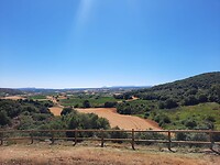 IMG-20220710-WA0028