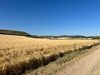 IMG-20220711-WA0038