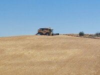 IMG-20220711-WA0018