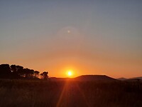 IMG-20220711-WA0094