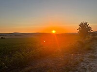 IMG-20220713-WA0003
