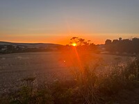 IMG-20220713-WA0005